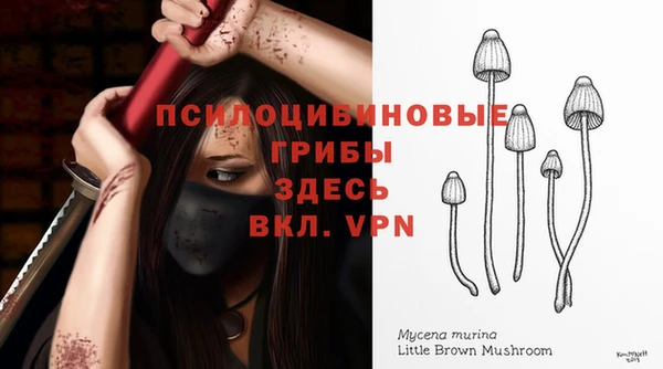2c-b Бородино