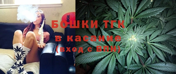 2c-b Бородино