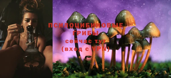 бутират Бугульма